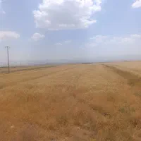 اجاره یا شریک زمین کشاورزی