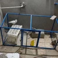 قفسه پرنده
