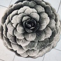 پادری و فرش گرد 1در1