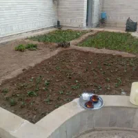 باغبانی و باغچه منزل