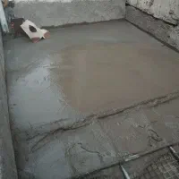 دیوار نویس ، خطاط