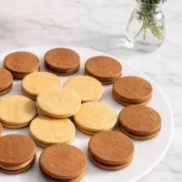 عکاسی حرفه ای محصولات و محتوا برای سایت شما