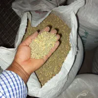 عدس و گاودانه هریس