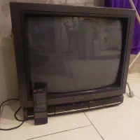 تلویزیون