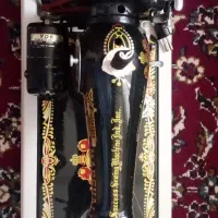 چرخ خیا طی دو شیر نشان