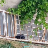 فروش درب یک لنگه 90در3متر