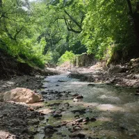 طبیعت فردا صبح