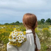 موهار برمیدارم موی طبیعی سگ جیبی