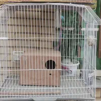 قفس درحدنو