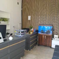 کار در دفتر وام فوری(خانوم. اقا)