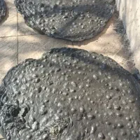 اکسیدور|عمدهفروشی|رفسنجان, |دیوار