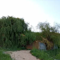 نیازمند کارگر جهت باغ