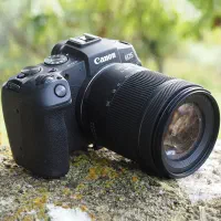 Canon RP