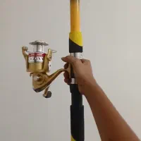 لنسر