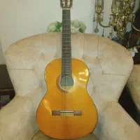 معاوضه گیتار C40