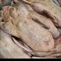 تمیز کردن غاز و اردک و کله پاچه .مرغ