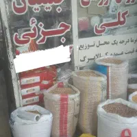 استخدام نیروی کار
