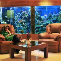 ساخت آکواریوم های خاص و بزرگ