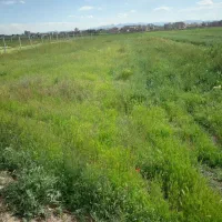 فروش-زمین-کشاورزی