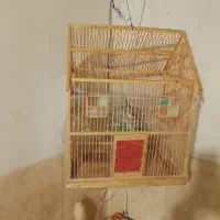 قفس  چوبی کار دست