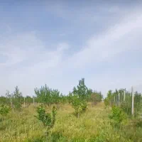 فروش باغ و باغچه 600 متر کردان هشتگرد تنکمان