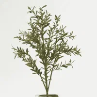 درختچه زیتون وارداتی ارتفاع ۱۶۰  (مصنوعی)