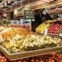 صندوق دار وکارگران میوه فروشی فقط خانوم