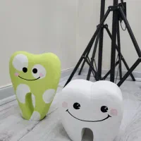 ماکت دندان یونولیت