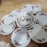 ظروف گل سرخ ارکوپال استیل