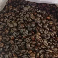 پخش قهوه رستری