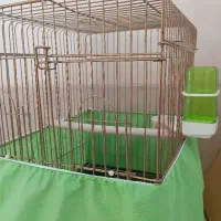 قفس‌پرنده