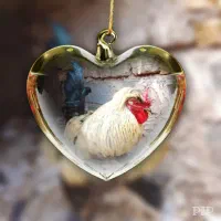 مرغ وخروس