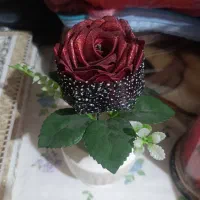 گل ربانی