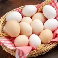 خرید و فروش تخم مرغ نطفه دار