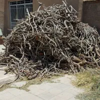 فروش چوب خشک پسته مناسب هیزم،تنور و زغال