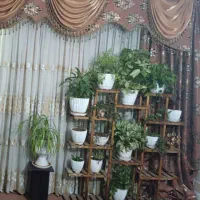 فروش استند گل بدون گل