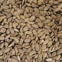 مغز بادام  ایرانی