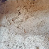 کاه دیم|لوازم جانبی حیوانات|الیگودرز, |دیوار