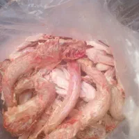 ضایعات مرغ