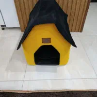 لونه سگ و گربه نو