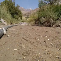 ران ن د ه لودر