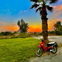 موتور ویو 125