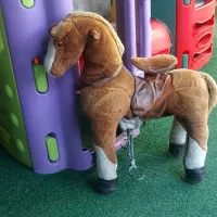 مربی .کمک مربی . نیروی خدماتی.آشپز