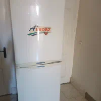 یخچال تروتمیزرنگ رودرب هاضدخش