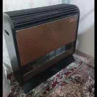 بخاری آزمایش سالم