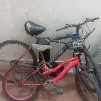 دوعدد دوچرخه