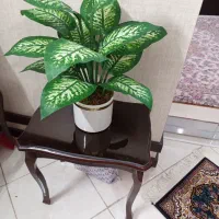 گل دیفن مصنوعی