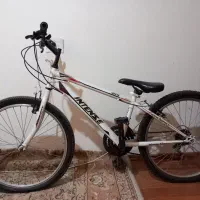 دوچرخه اینتنس
