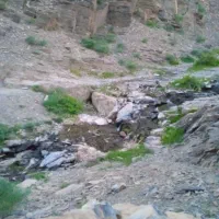 کوه و طبیعت گردی