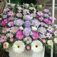 باکس گل های خارجی